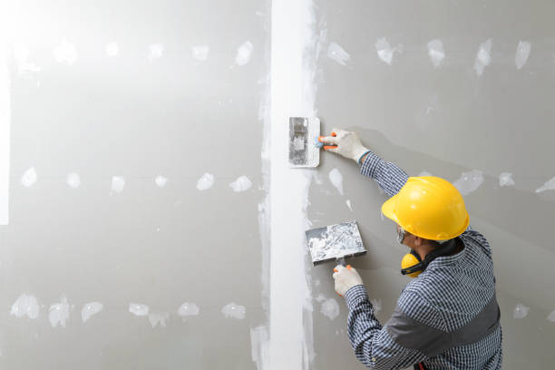 Best Industrial Mold Remediation  in Tuckerton, NJ