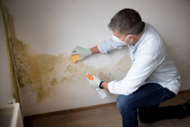 Best Airborne Mold Testing  in Tuckerton, NJ